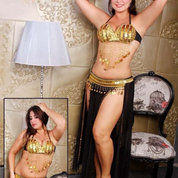 Elegant Belly Dance Costume