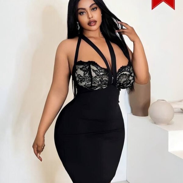 Plus Size Lace Inset Bodycon Mini Dress
