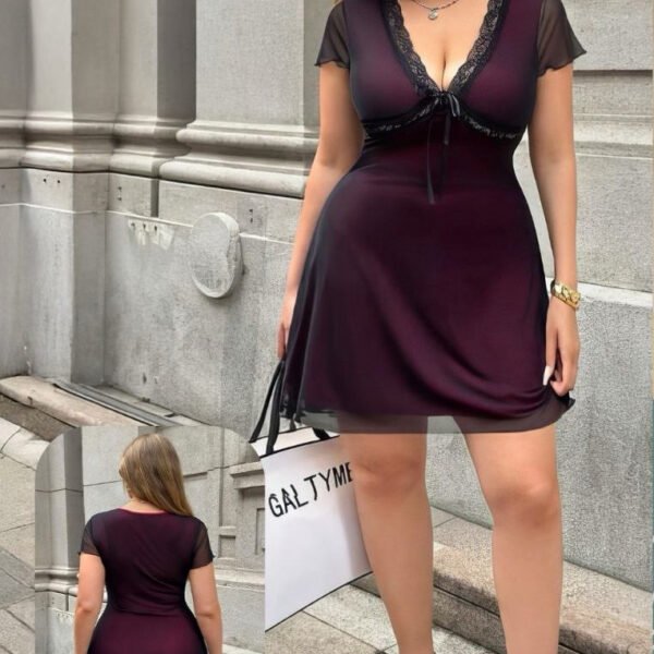 Vintage-Inspired Lace Trim Mesh Overlay Mini Dress