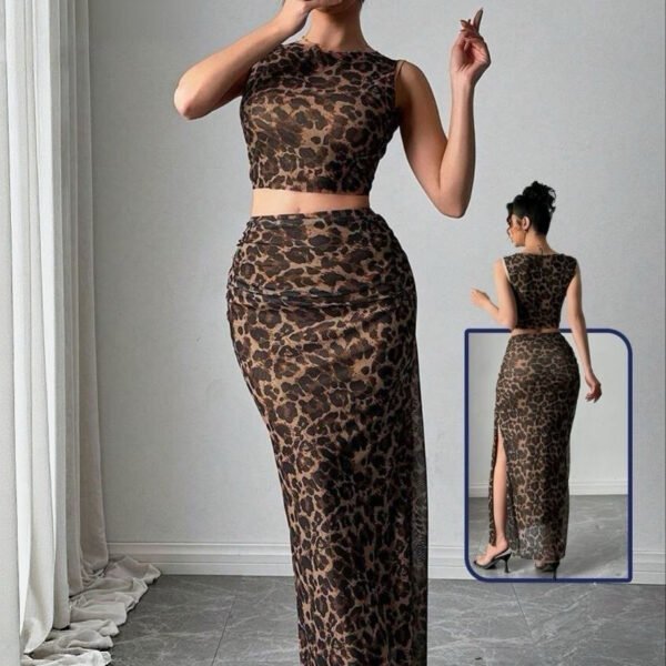 Leopard Print Two-Piece Mesh Set