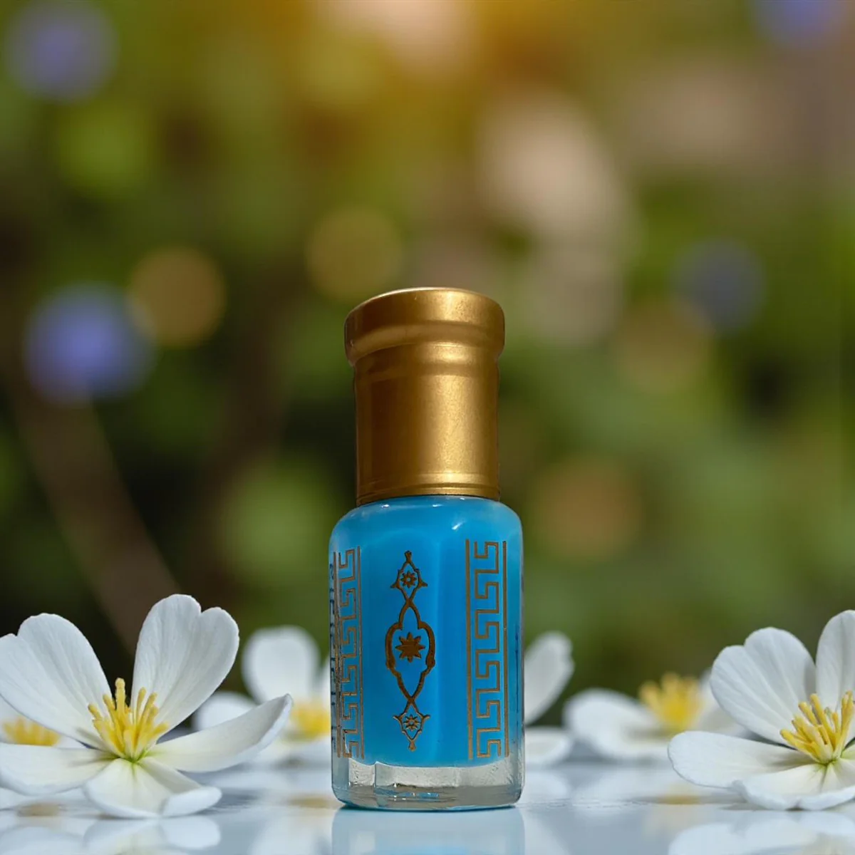 WhatsApp-Image-2025-11-17-at-14.27.31_9ed58e0f