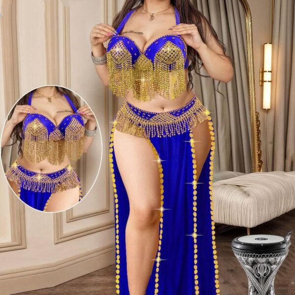 Exquisite Crimson Professional Belly Dance Costume - Two-Piece Bedlah Set