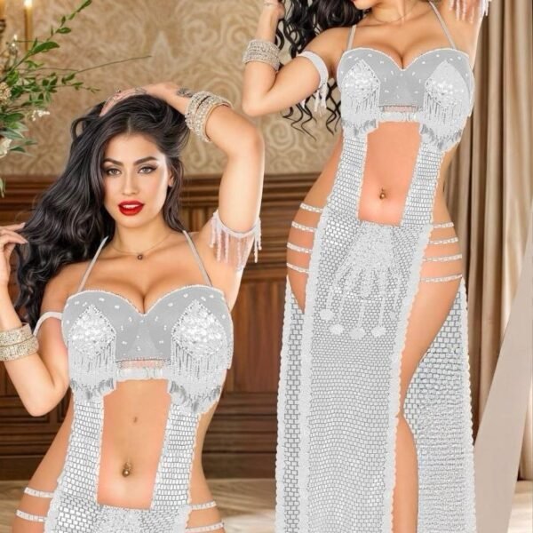 Sparkling Fringe Belly Dance Set