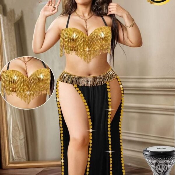Exquisite Gold Sequin & Tasseled Belly Dance Costume