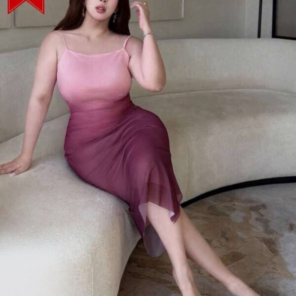 Ombré Mesh Midi Dress