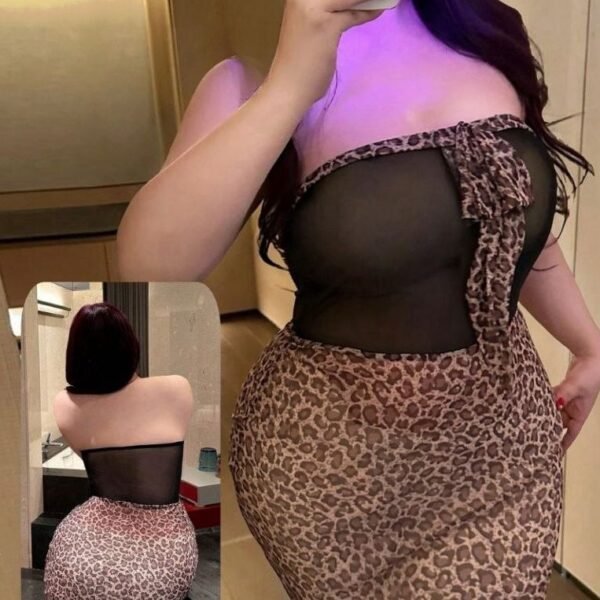Sultry Leopard Print Mesh Mini Dress