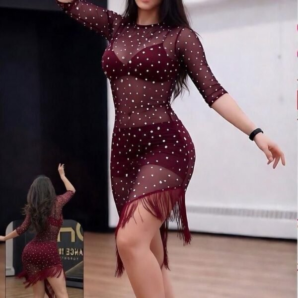 Sparkly Mesh Rhinestone Performance Dress with Fringe Detail