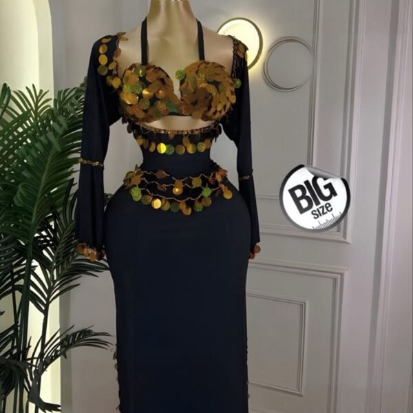 Elegant 3-Piece Oriental Belly Dance & Performance Costume