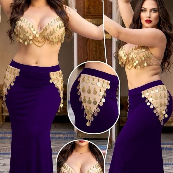 Exquisite Two-Piece Belly Dance Costume