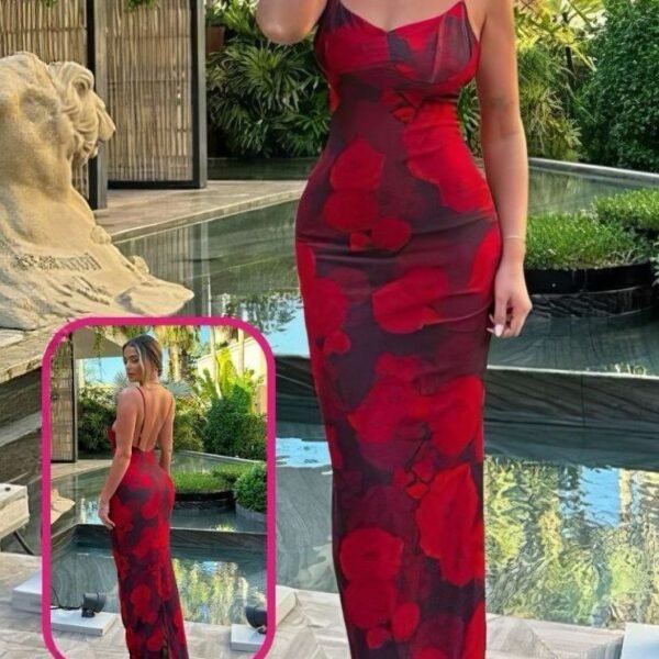 Crimson Bloom Mesh Maxi Dress